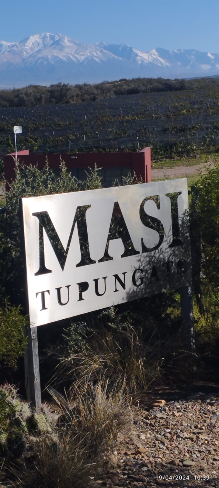 Excursión a Bodega MASI Tupungato con vistas ecológicas